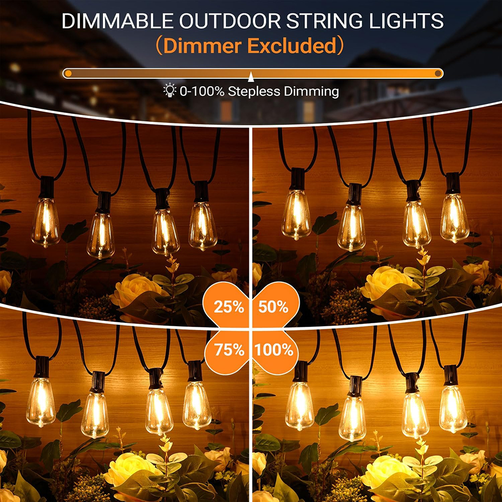 ST38 Festoon 220V LED Globe St - Led Fairy String Lights reseña y precio