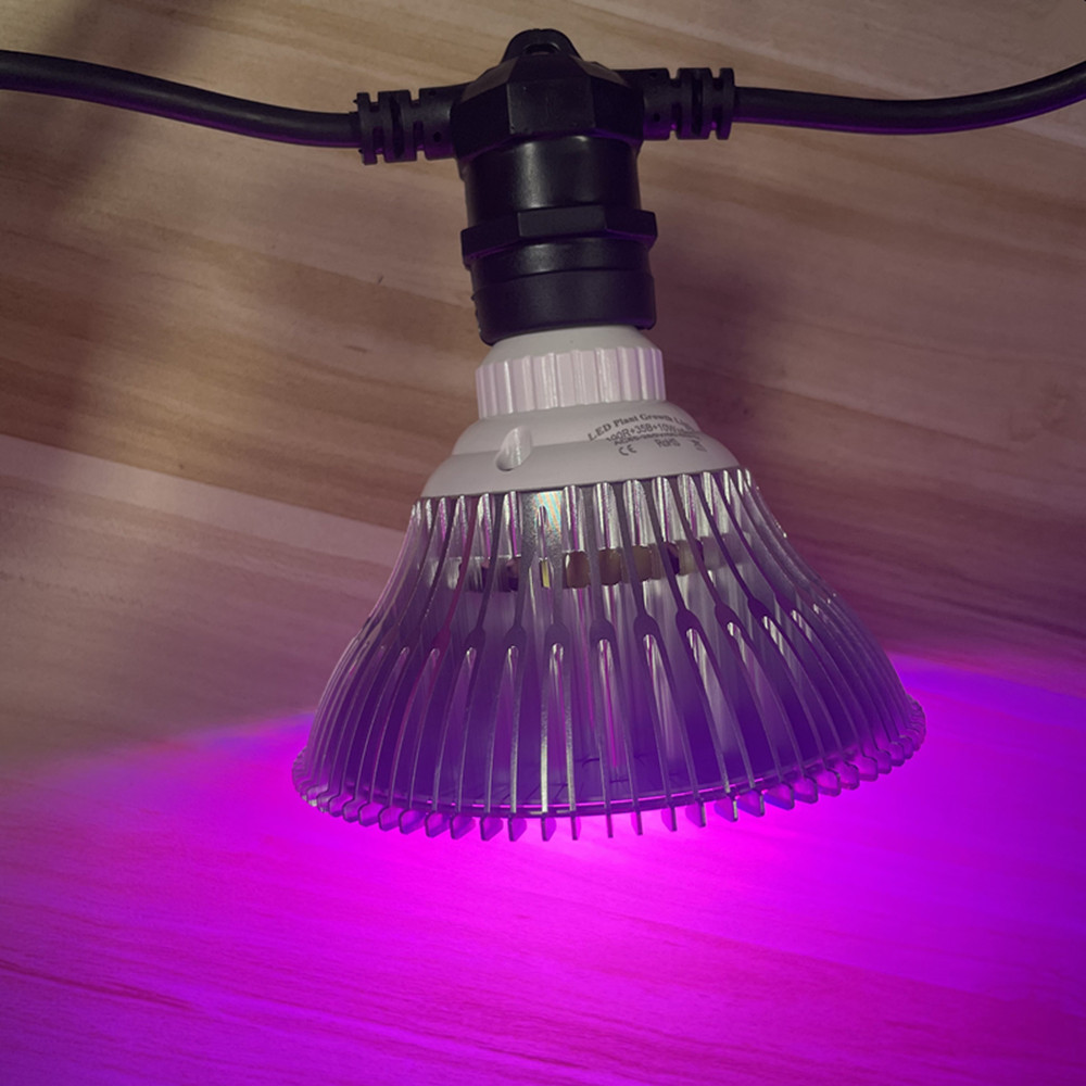 10M Cable LED String Commercia - Led Fairy String Lights reseña y precio