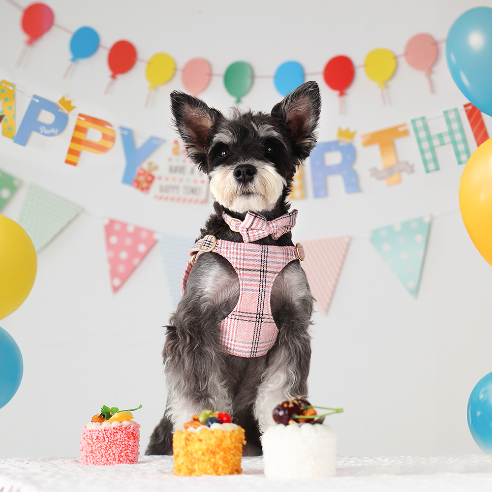 3pcs/set Dog Collar Harness le - Christmas Throw Blanket reseña y precio