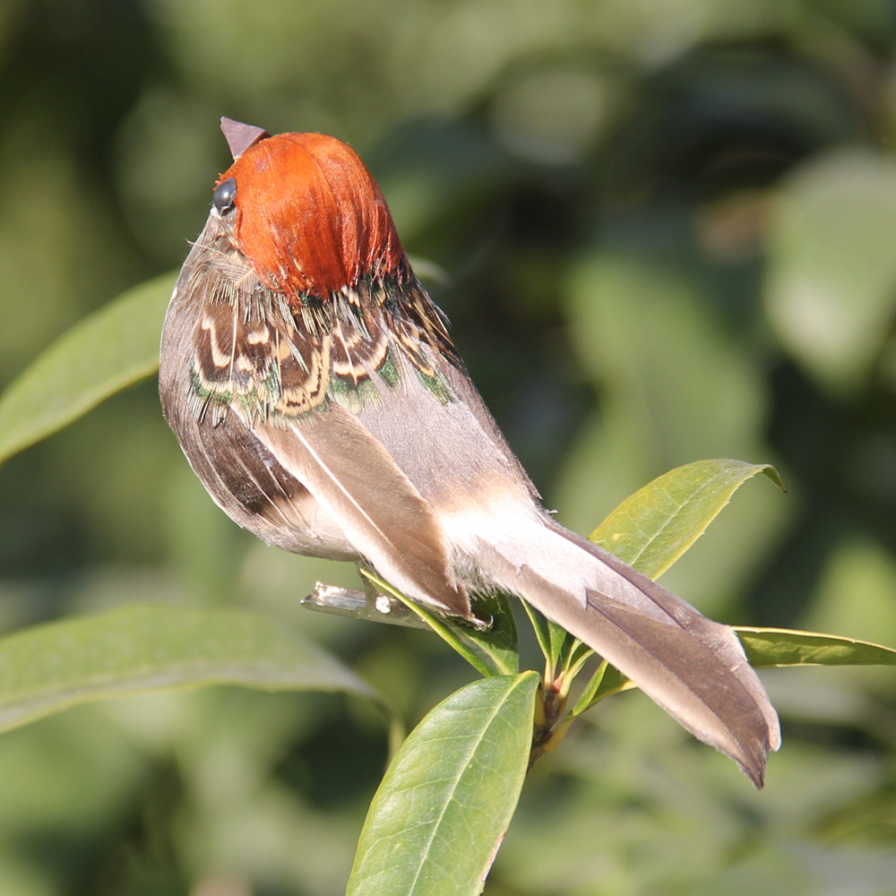 2Pcs Hot Feather Bird Imitatio - Christmas Tree Artificial reseña y precio